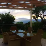 Talea